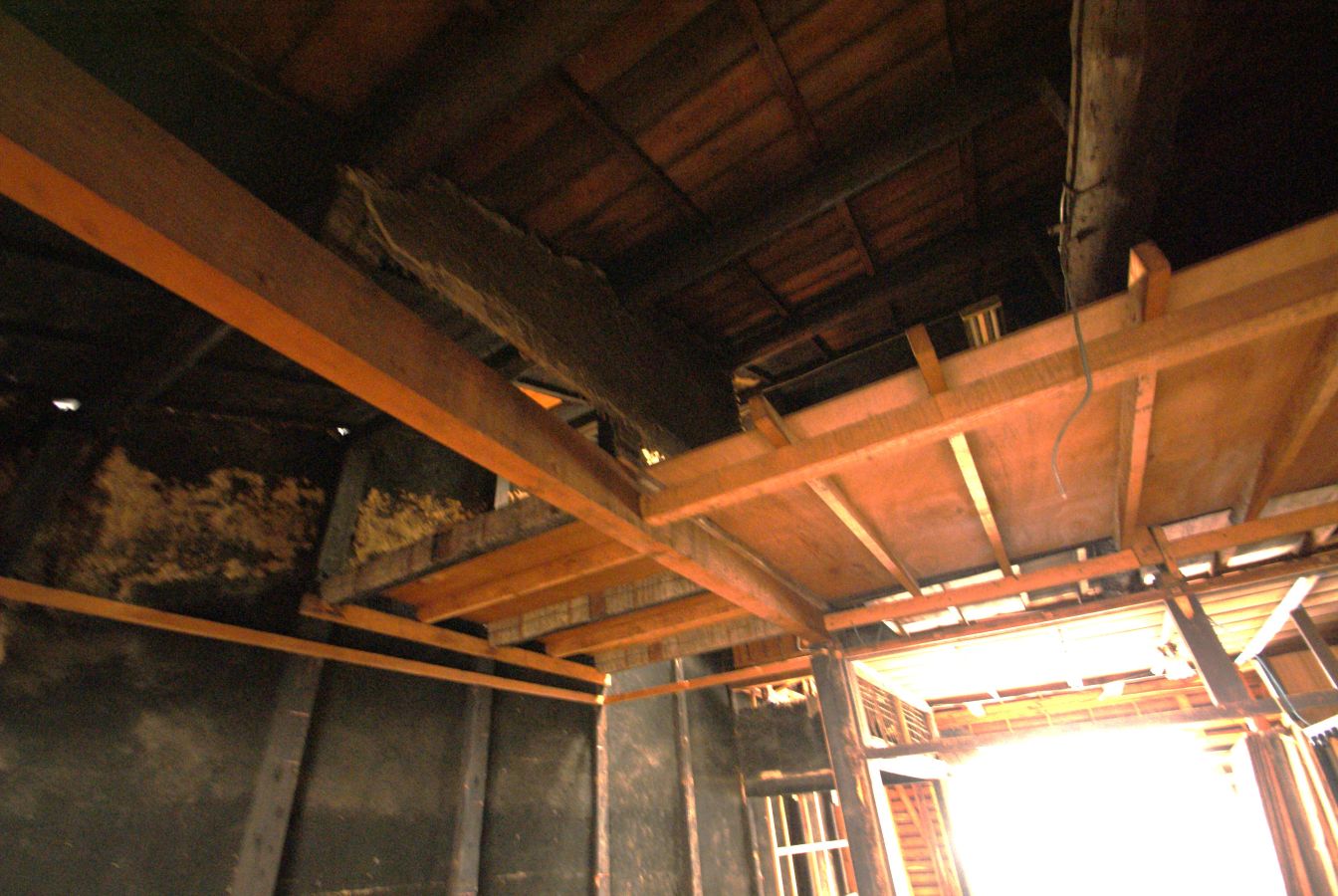 ���C�O�̓V��Ɨ��̗l�q